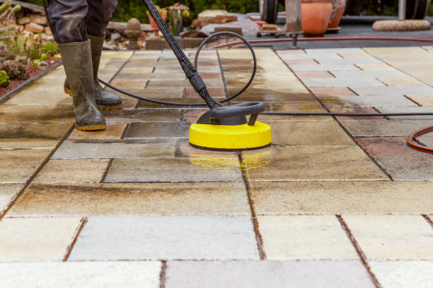 Best Gutter Cleaning and Brightening in Algona, IA